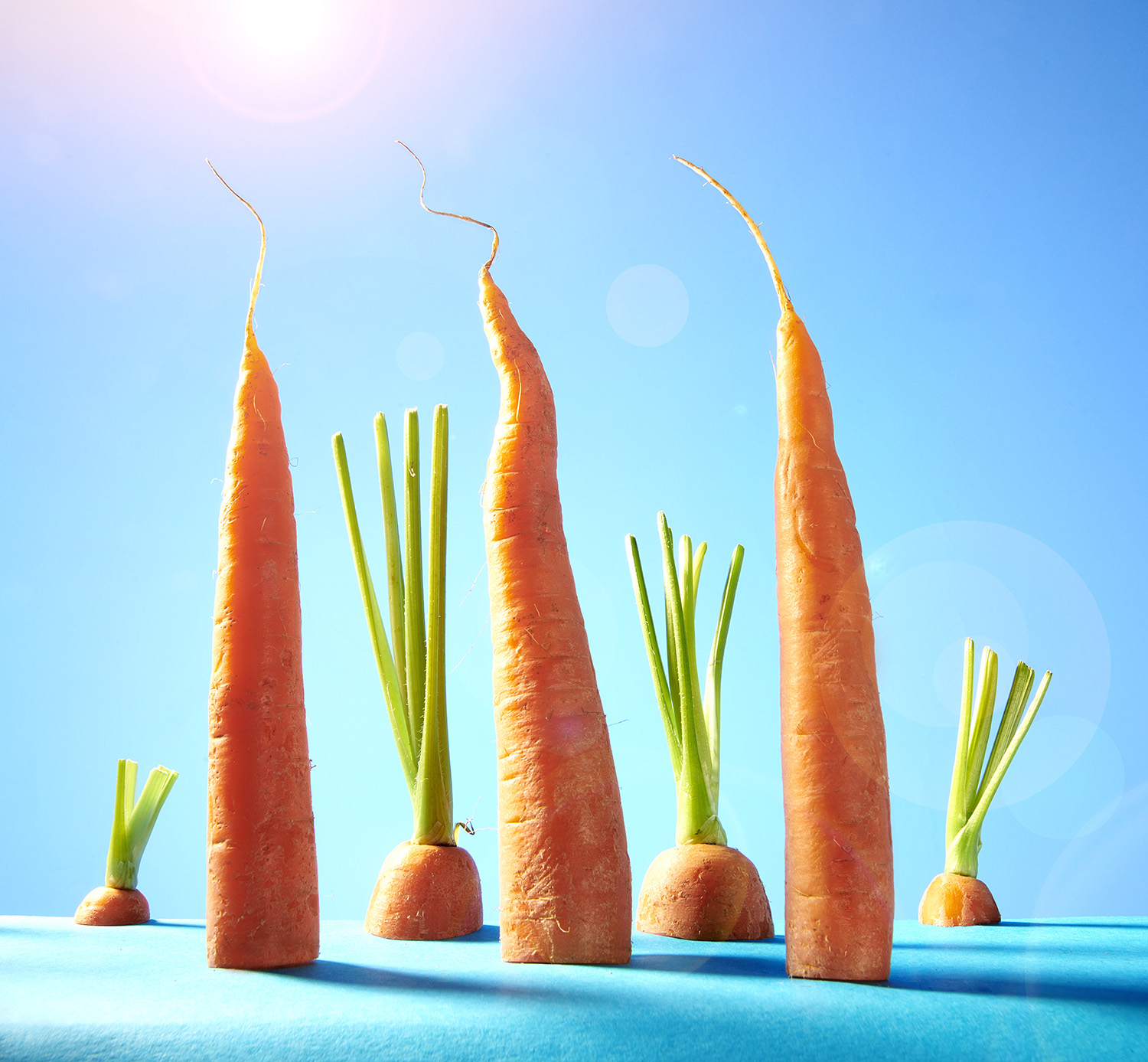 CarrotstesWEBB