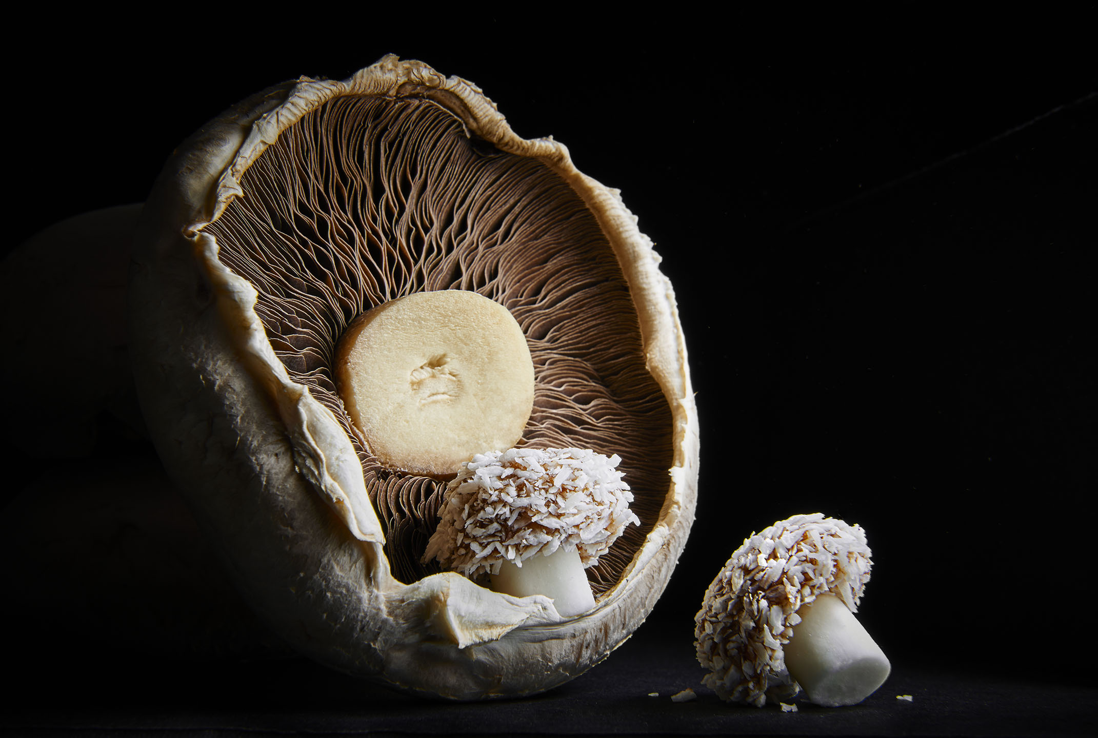 Mushrooms 001
