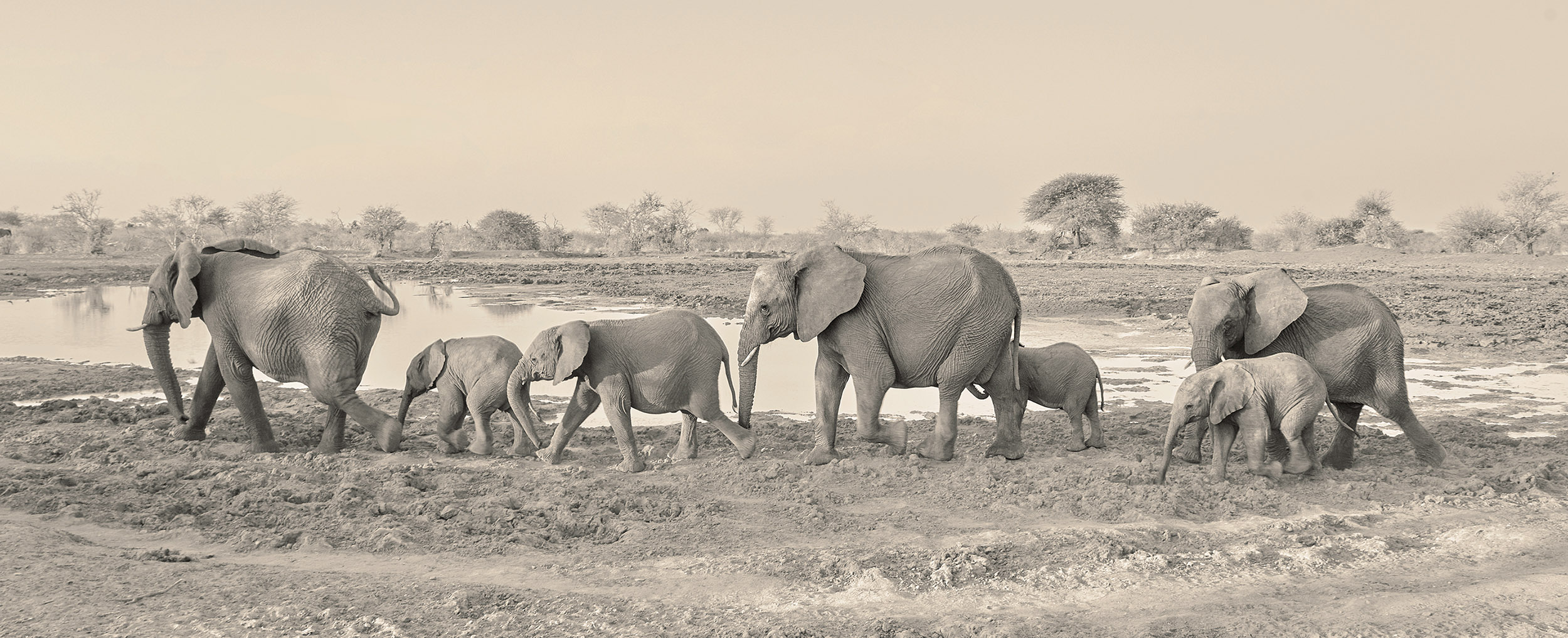 S12Waterhole002web