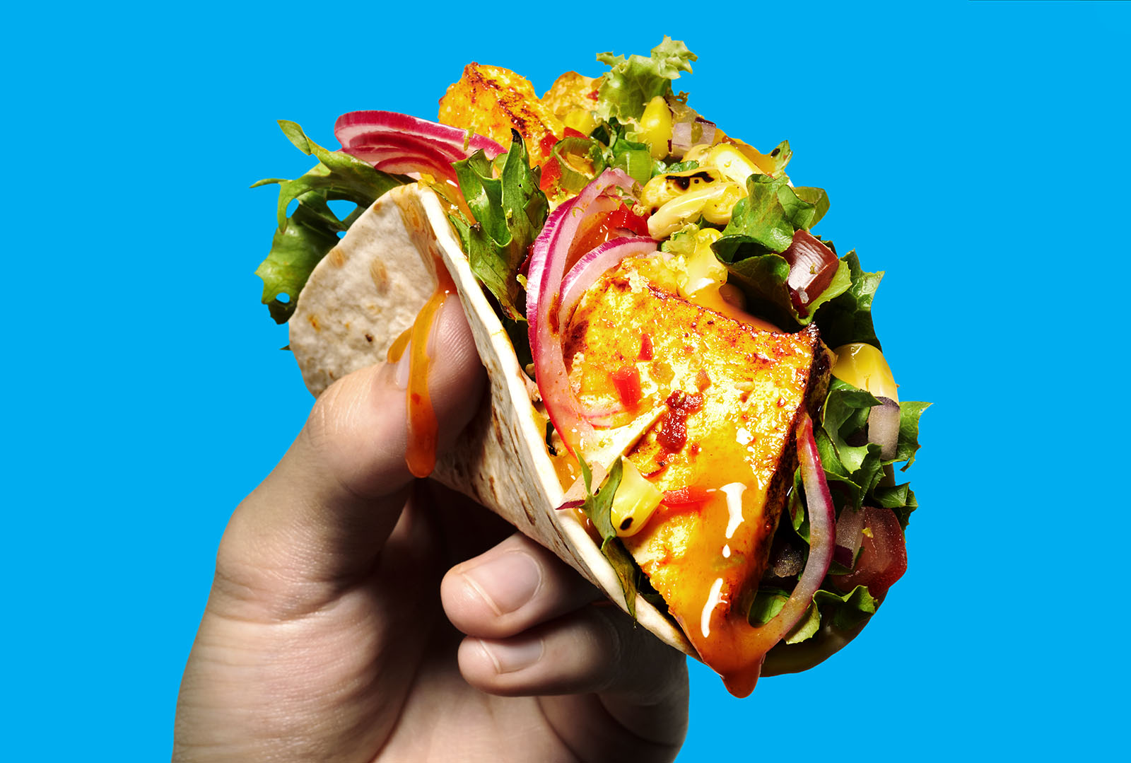 TofooTortilla001B