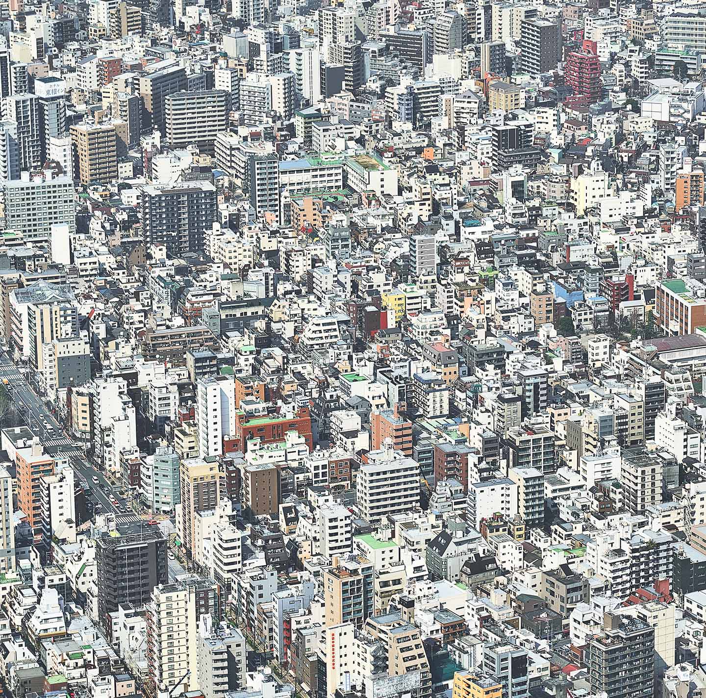_DSC5666Flat